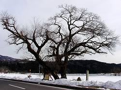 20060120kohoku (2).jpg